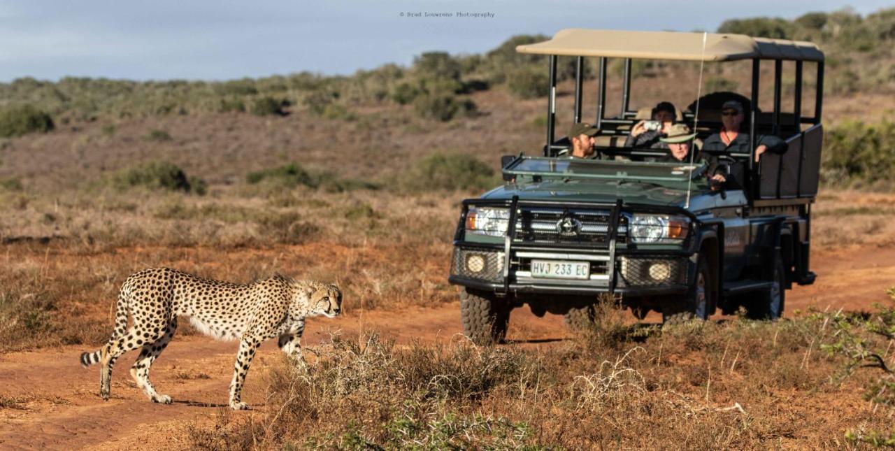 Woodbury Tented Camp - Amakhala Game Reserve Exterior photo