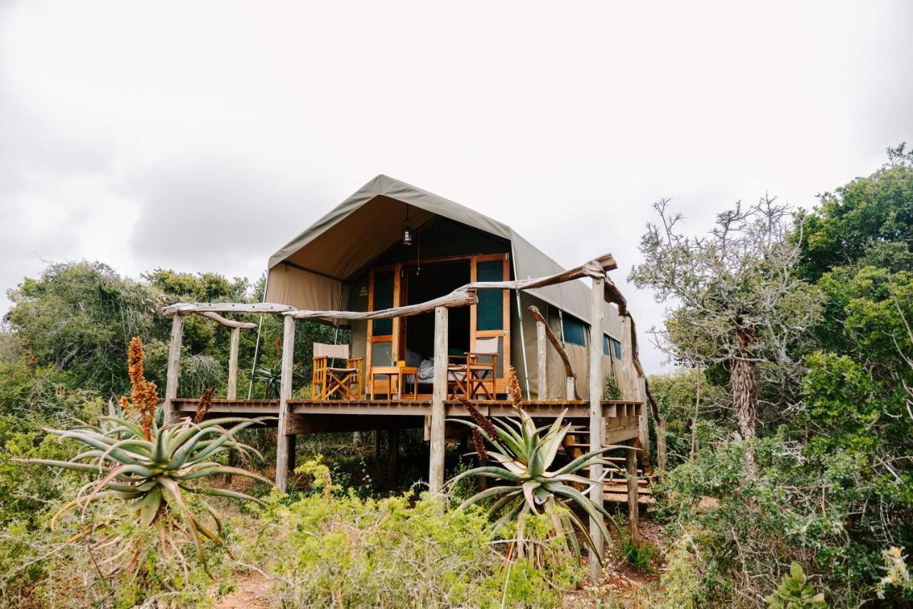 Woodbury Tented Camp - Amakhala Game Reserve Exterior photo