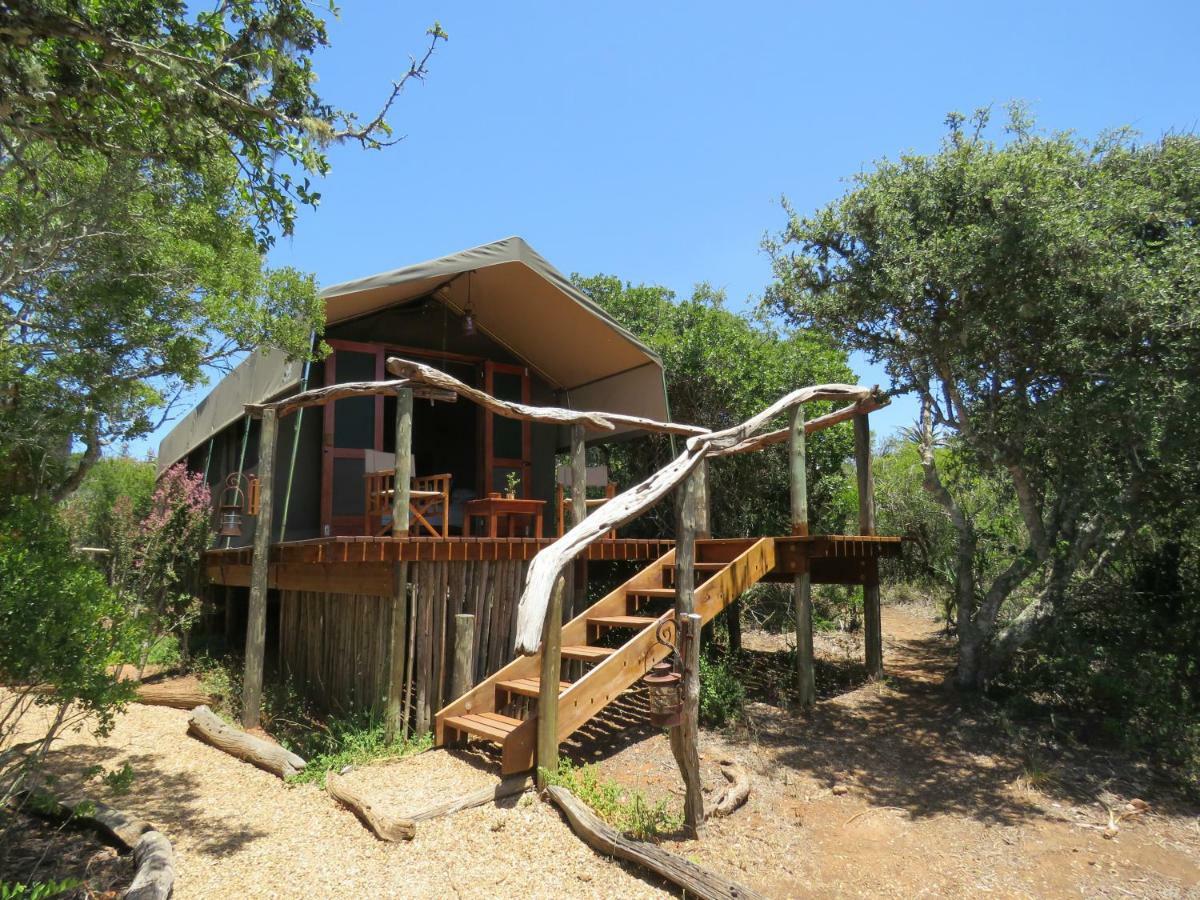 Woodbury Tented Camp - Amakhala Game Reserve Exterior photo